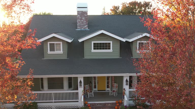 Best Chimney Flashing Repair  in Emmett, ID